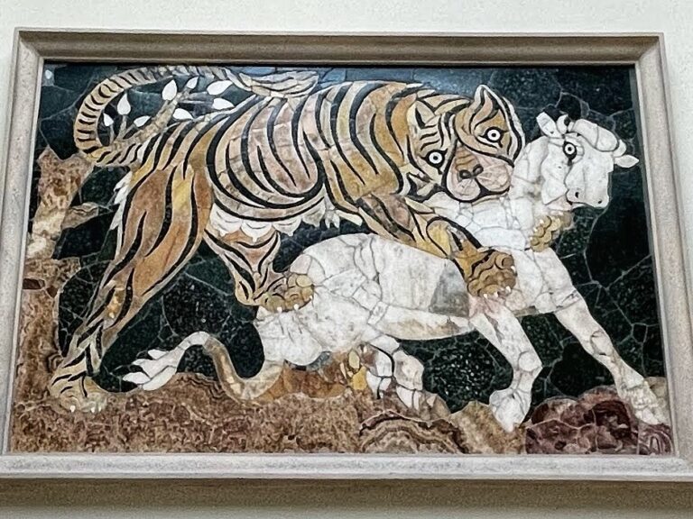 a Tiger hunt at the Colosseum