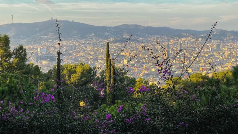 the gardens on montjuic hill