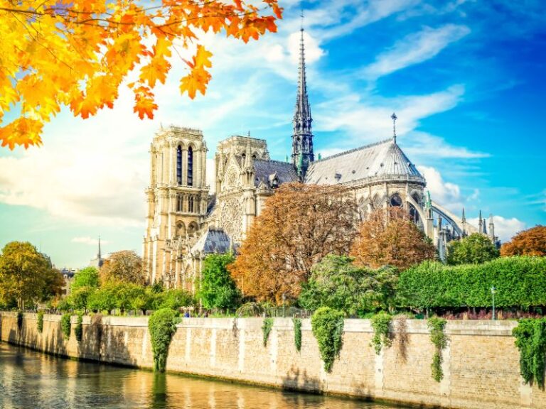 notre dame in paris framed by autumn leaves