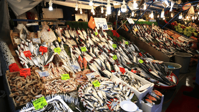the fish market in istanbul